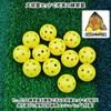 Charmoon Baseball Schlagtraining Bälle, 72mm, Hart, Niedrig fliegend, mit Aufbewahrungstasche, 12er-Pack (24 Bälle, Gelb)