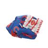 Rawlings Baseball Glove for Juniors and Team Logo MLB Player Chicago Glove Kids, Glove, Series, Cubs, 10-inch (CHC10-22000008111)