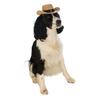 Bristol Novelty Cowboy Hat Dog Costume