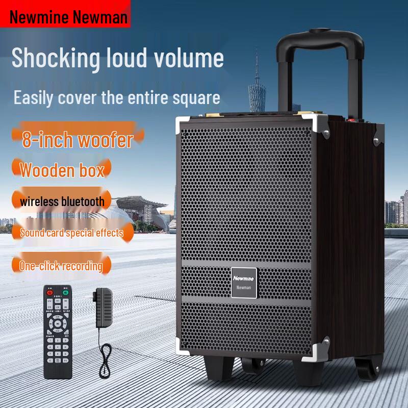 Newsmy N557 Portable Outdoor Karaoke Trolley Speaker (CN Version)