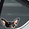 Miniature Pinscher Vinyl Sticker, 15x8cm Waterproof Decal for Car Motorcycle Decor