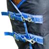 Hy StormX Empra Standing Collar Horse Turnout Rug