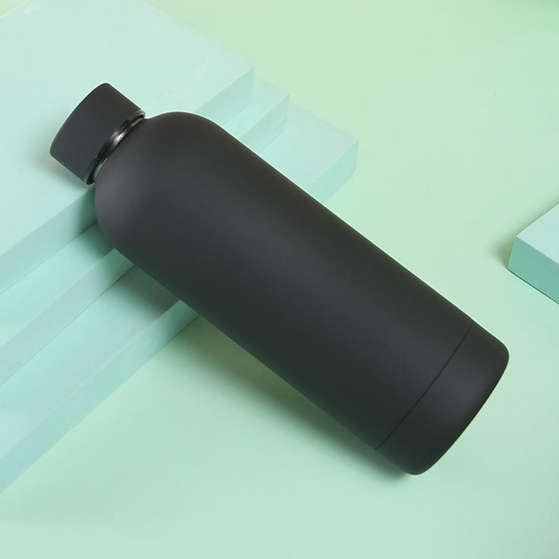 Water Bottle 500ml Stainless Steel Insulated Flask Transparent Custom BPA Free Leakproof Private Label