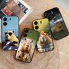 Coques pour téléphones – Pare-chocs pour smartphones