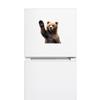1PC 2D Flat Stickers Bear Animal Creativity Car Stickers Luggage Refrigerator Wall Stickers Laptop Toilet Stickers