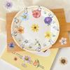 50Pcs Transparent Cartoon Floral Stickers - Waterproof PET Flower Decor for Journals, Guitars & Notebooks