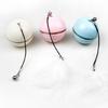 Cats Chasing Toy Electric Ball Auto Rolling Toy Ball Boredom Relief Indoor Toy