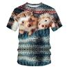 Funny Animal Hedgehog 3D Print T-Shirts Summer Oversized Harajuku Round Neck Short Sleeve Men's T-shirts