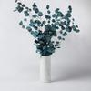 Buquê de flores de eucalipto preservadas genuínas puramente naturais decoração de casa fresca em azul