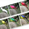25/35cm Artificial Parrot Animal Bird Lawn Model Ornament Yard Garden Decoration