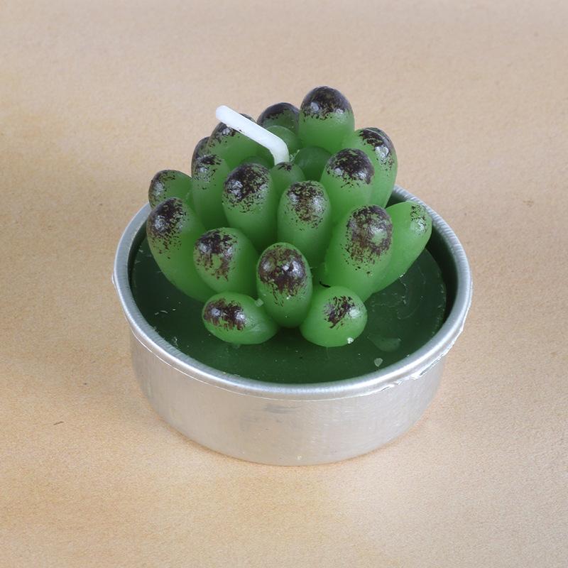 New simulation succulent plant candles, rose candles, 44 product combinations, and special-shaped paraffin candles