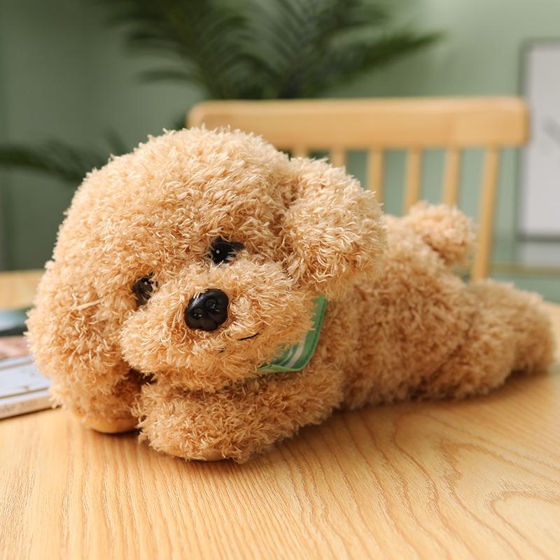 Cute Teddy Dog Plush: Soothing Small Dog Doll for Sleeping & Hugging