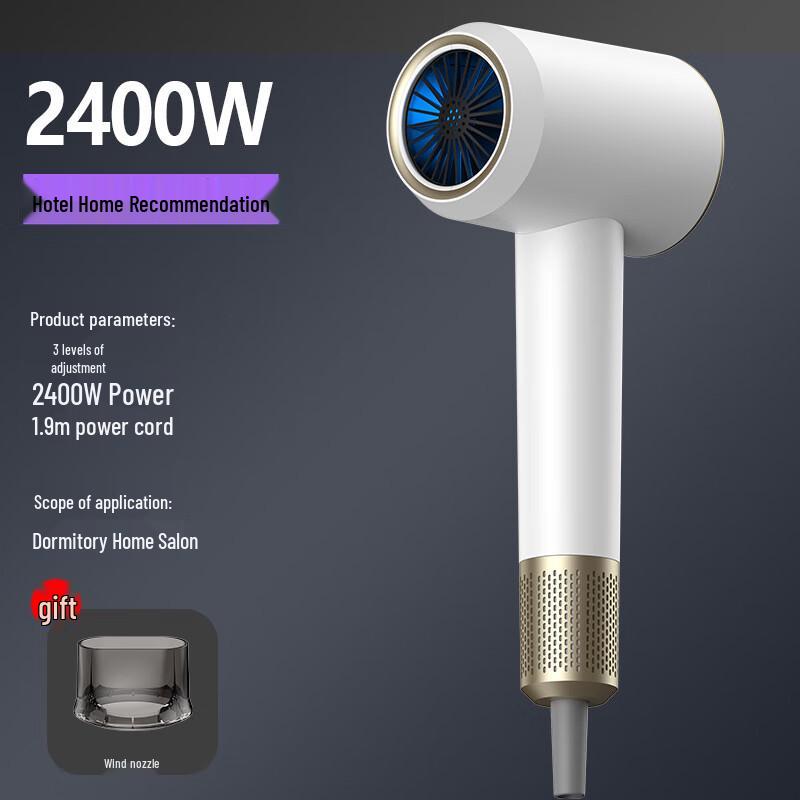 OIMG 2400W Negative Ion Hair Dryer