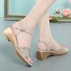 Anti-slip Shoes - New Style Women's Sandals with Platform Heels and Soft Soles