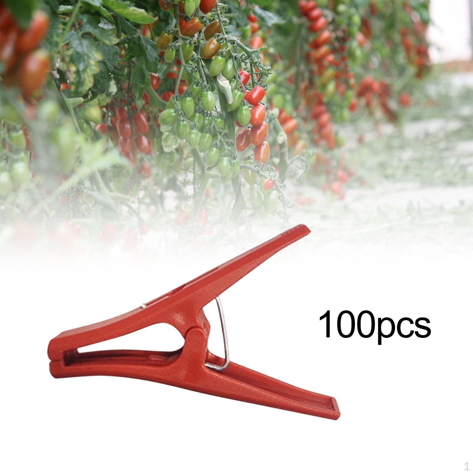 

100 шт. зажимы для поддержки растений садовая лоза простой в использовании универсальный садовый инструмент стебель растения
