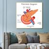 Human Organs Brain Liver Heart Anatomy Poster Print Canvas Painting Human Body Map Medical Classroom Office Room Home Decoration