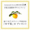 M-mark Yuzu Body Lotion Off White 300ml (x 1)