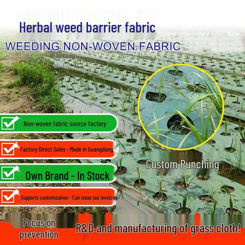 Dual-Color Perforated Weed Barrier Fabric with Holes - Black & Green Non-Woven Medicinal Herb Weed Control Film 0.6x8m Cloth + 4 Pegs