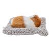 Simulation Cat Soft Plush Kitten Children Gift Activated Carbon Car Table Ornament Decoration