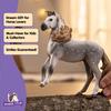 Schleich Horse Club Andaluz (Masculino) 14895