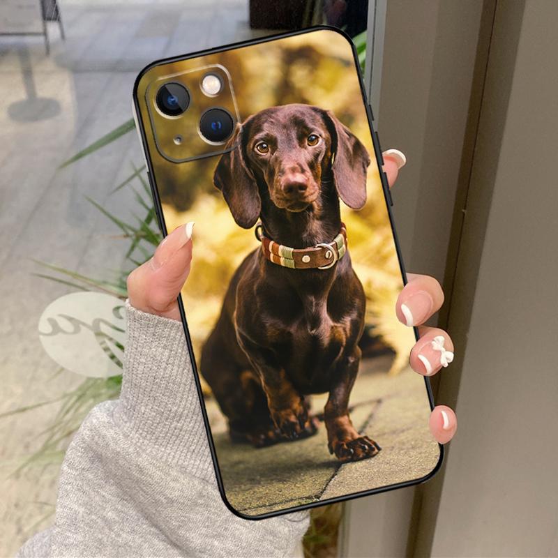 Dachshund Dog Phone Case For iPhone 12 11 13 14 15 16 Pro Max Mini X XS XR Plus Shockproof Cover