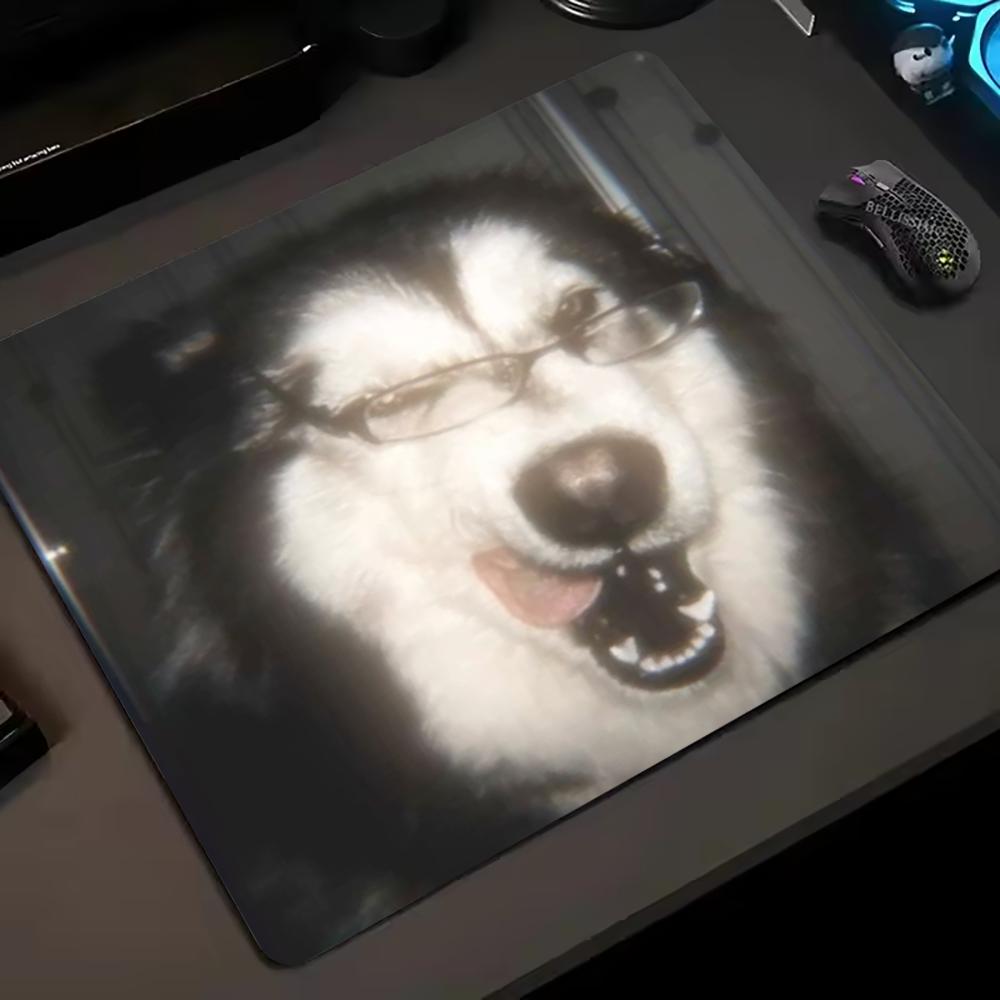 Funny Glasses Pet Portrait Small Mouse Pad 45X50 Laptop Mousepad Keyboard Mat Desk Protector Meme Animal E-sports Gaming Pads