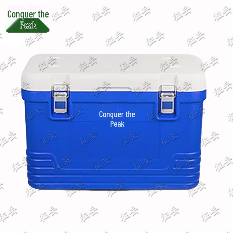 Insulated Food Delivery Box