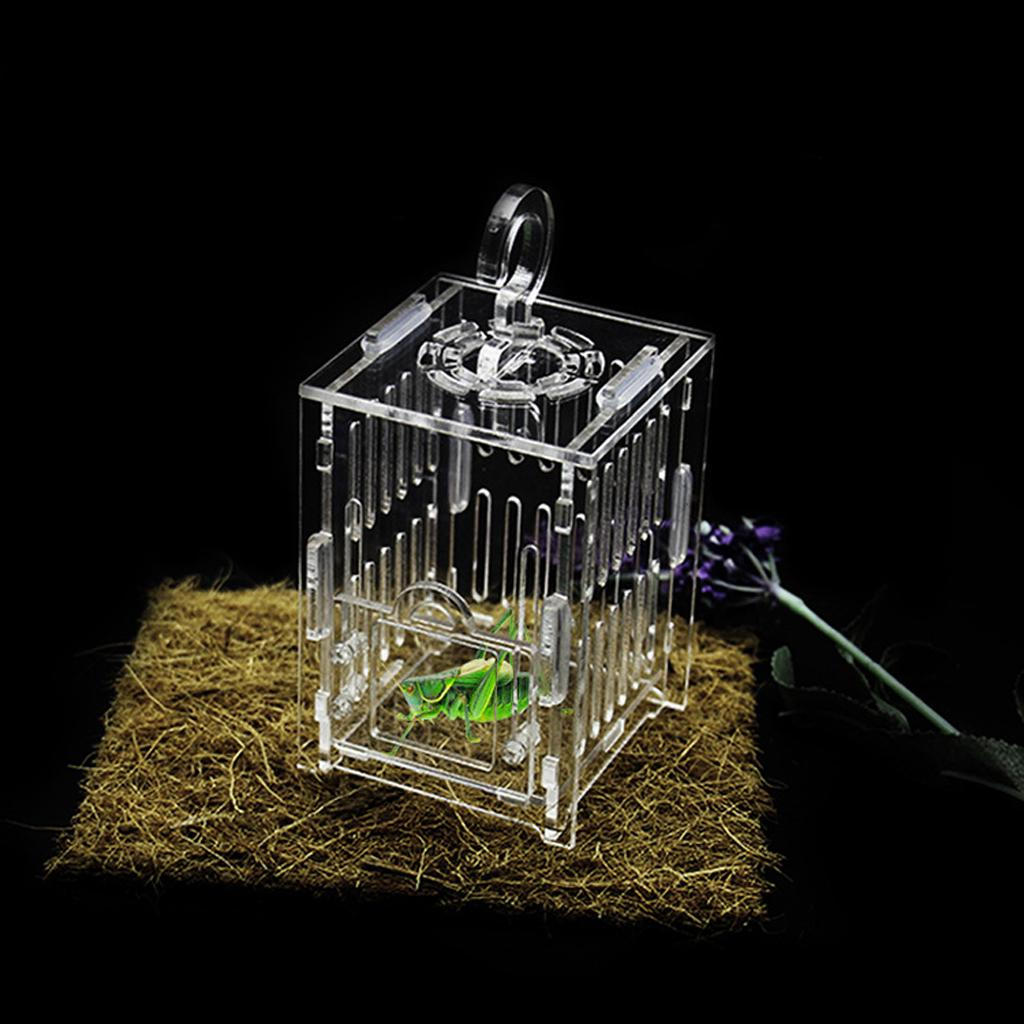 Spider Insect Cricket Tank Vivarium Cage Box Clear Acrylic Terrarium