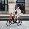 DYU C6 36V 350W Commuter Electric Bike - 80km Pedal-assist, Steel Frame and 26-inch Wheels, Perfect for Long-distance Commuting