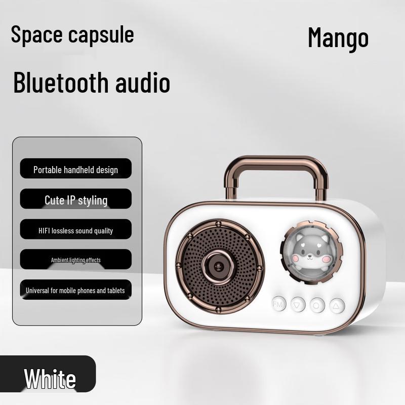 Wanwu C20 PLUS Retro Wireless Karaoke Bluetooth Speaker