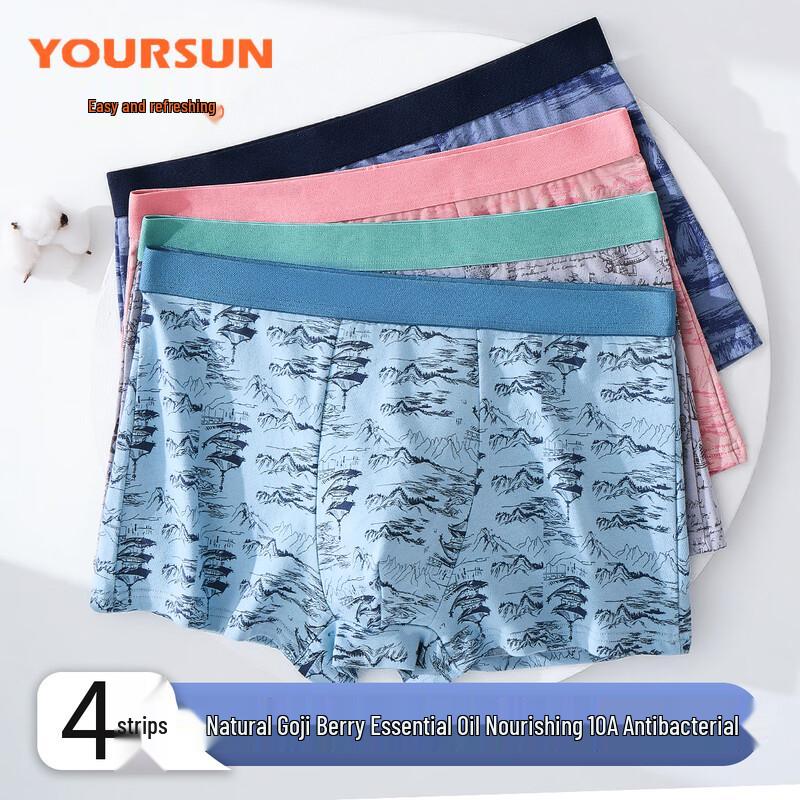 

Evershine Мужские боксеры-брифы из чистого хлопка, антибактериальные, 4 шт. 3XL (160-180 lbs)