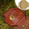 Anti-Slip Tortoise Water Dish Plastic Reptile Pool Dish Turtle Feeding Dish  Terrarium Setup