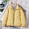 Stand-up Collar Short Down Padded Jacket Women's Loose Thick Warm  Padded Jacket