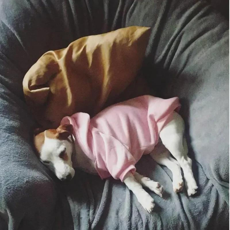 Oblečení pro psy Mikiny Psí obličej Větruodolný kabát Teplý pro malé velké psy Bunda Mikina Bunda pro francouzského buldoka Oblečení