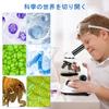 Microscope for Adults and Kids, Science School Lab Home Education Biology, 40-2000x Magnification, Easy to Use, Phone Holder, 10 Specimen Slides, 100
