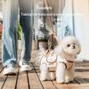 Köpek – Köpek Tasmaları ve Tasma Kayışları