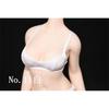 Fremgo 1/6 Body Clothing Seamless Underwear Ladies Model Clothing 12-inch Action Doll Girl Bra Background Underwear C