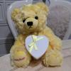 [USED] Sears Teddy Bear Plush Toy, Yellow