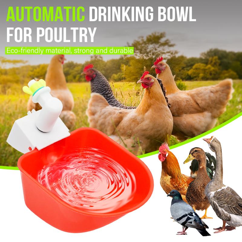 5pcs Automatic Drinking Bowl Goose Duck Chicken Water Cup Waterer Bowl Farm Poultry Waterer Drinking Bowls Water Dispenser