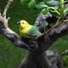 4Pcs Mini Bird Figure Model Cartoon Resin Crafts Diy Plant Bonsai Figurines Fairy Garden Dollhouse Miniatures Decor