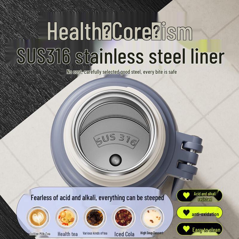 Diller Stainless Steel Portable Tea Infuser Insulated Water Bottle