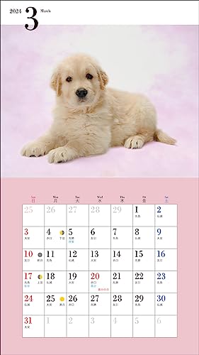 2024 Calendar Cute Golden Retriever (Seibundo Shinkosha Calendar)