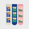 Liv Li Socks 3-Piece Set (Gift Box)