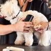 Spazzola Professionale per Animali Domestici per la Rimozione del Sottopelo Spazzola Multifunzionale per la Toelettatura di Animali Domestici Spazzola Ergonomica per la Toelettatura di Animali Domestici Strumento per la Rimozione dei Peli di Cane