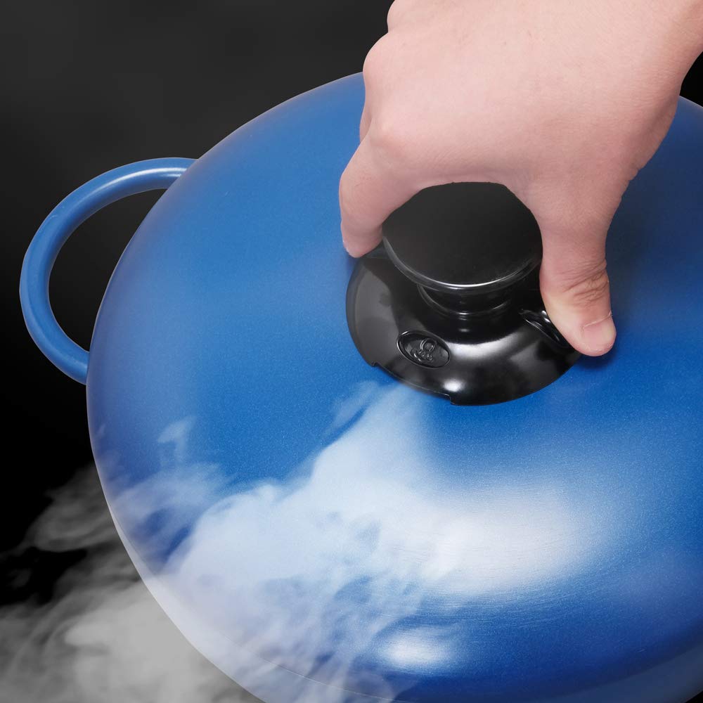 IRIS OHYAMA 20cm Waterless Easy to Includes Recipe Two-Handled Pot, Gas/IH Compatible, Deep, Clean, Time-Saving, Economical, Book, Blue, GMKS-20D