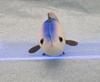Take Off Pish - A small, colorful fish plush toy that makes a "beep" sound when you press its belly.