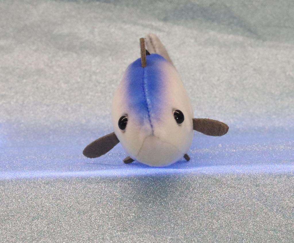 Take Off Pish - A small, colorful fish plush toy that makes a "beep" sound when you press its belly.