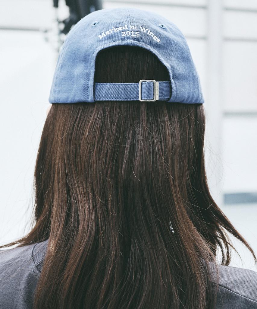 Nigaennikol Oval Wappen Ball Cap_Blue Gray