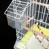 Transparent Bird Supplies Bird Cage Feeder Plastic Easy To Install Use and Clean Durable Plastic Bird Gift
