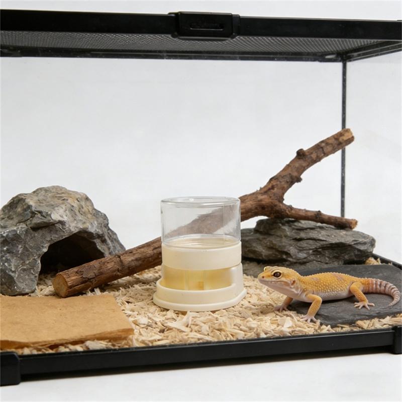 Transparent Reptiles Water Feeder With Automatic Water Refilling Space Efficient Design Technology